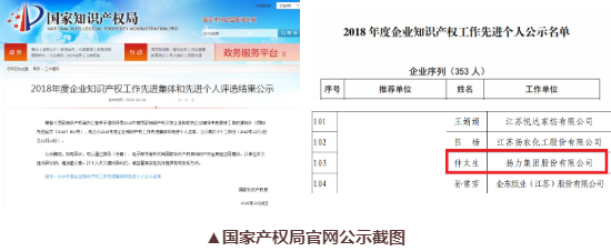 喜訊丨揚力集團總工程師仲太生榮獲“2018年度企業(yè)知識產(chǎn)權(quán)工作先進個人”榮譽稱號！