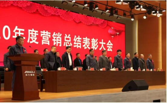 揚(yáng)力集團(tuán)2020年度營銷總結(jié)表彰大會圓滿召開！